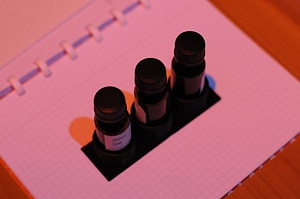 image_processing20220614-13911-ewabb9.jpg