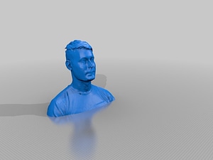 image_processing20220613-13911-nmlhis.jpg
