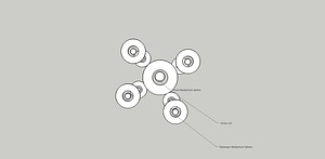 image_processing20220613-13911-1k8gpr3.jpg