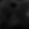 Thumb 7