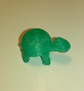 Turtle!