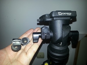 image_processing20220613-13911-g19ko5.jpg