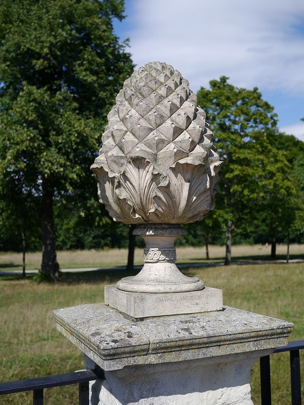 Ham House Pineapple