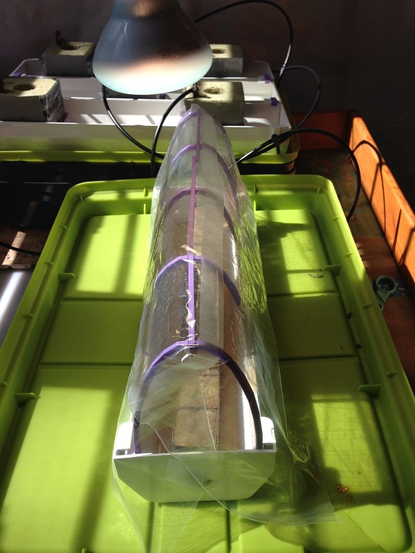 Micro Greenhouse Dome