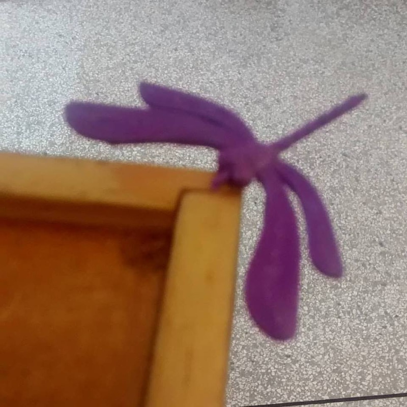 dragon-fly
