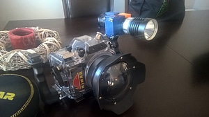 image_processing20220613-13911-17ylrtn.jpg