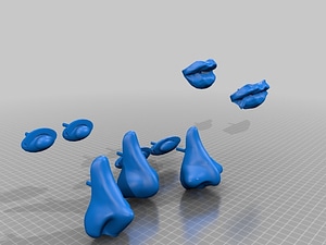 image_processing20220613-13911-m7eqek.jpg
