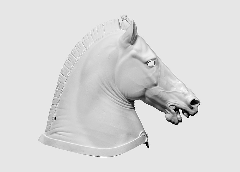 3D scan of Horse Head (“Medici Riccardi” horse)