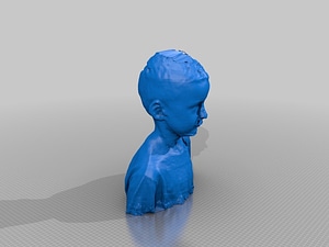 image_processing20220613-13911-1x9ttt1.jpg