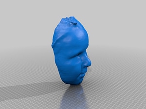 image_processing20220613-13911-zjvs61.jpg