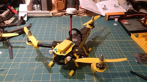 image_processing20220613-13911-l3ihge.jpg