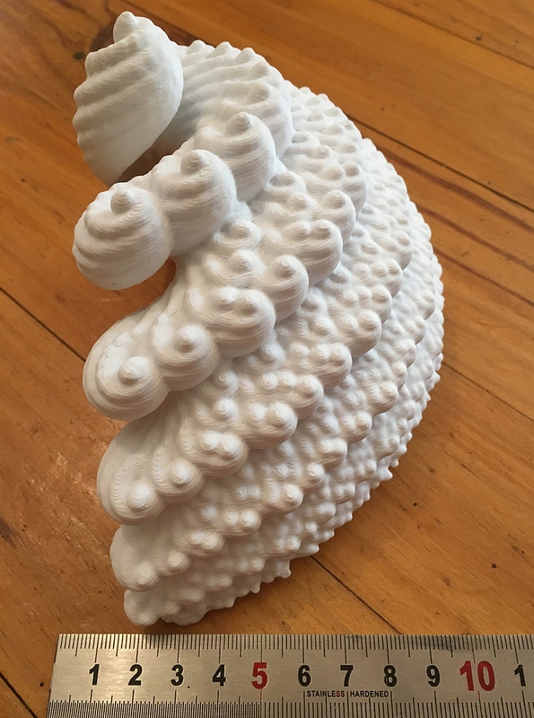 shellity