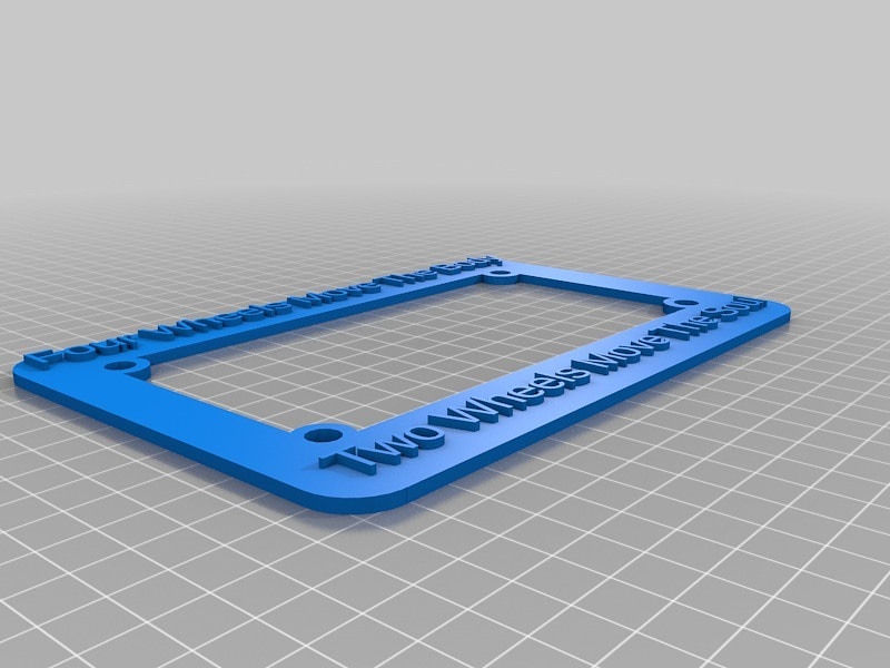 My Customized Motorcycle License Plate Holder (American)