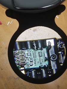 image_processing20220613-13911-c9fva5.jpg