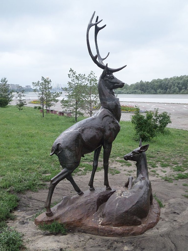 image_processing20220613-13911-1lz39ur.jpg