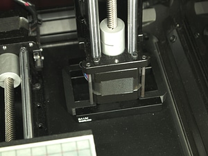 image_processing20220613-13911-1s1cgqv.jpg