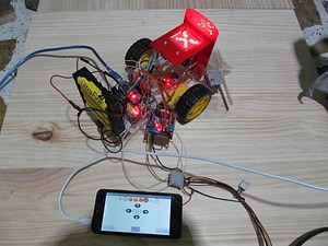 image_processing20220613-13911-1hizoek.jpg