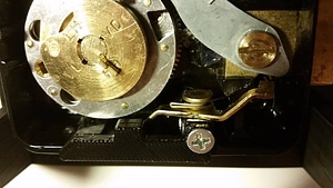 image_processing20220613-13911-404vsm.jpg