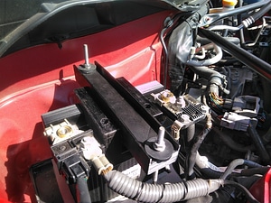 image_processing20220613-13911-oip9c7.jpg