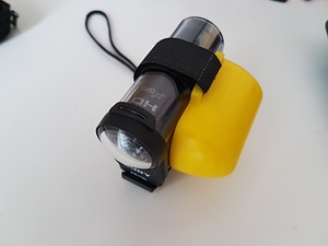 image_processing20220613-13911-1m3d2sf.jpg