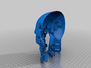 image_processing20220613-13911-h0ptte.jpg