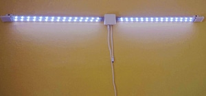 image_processing20220613-13911-wtvcs1.jpg