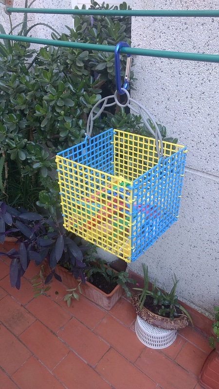 Cesta pinzas para tendedero