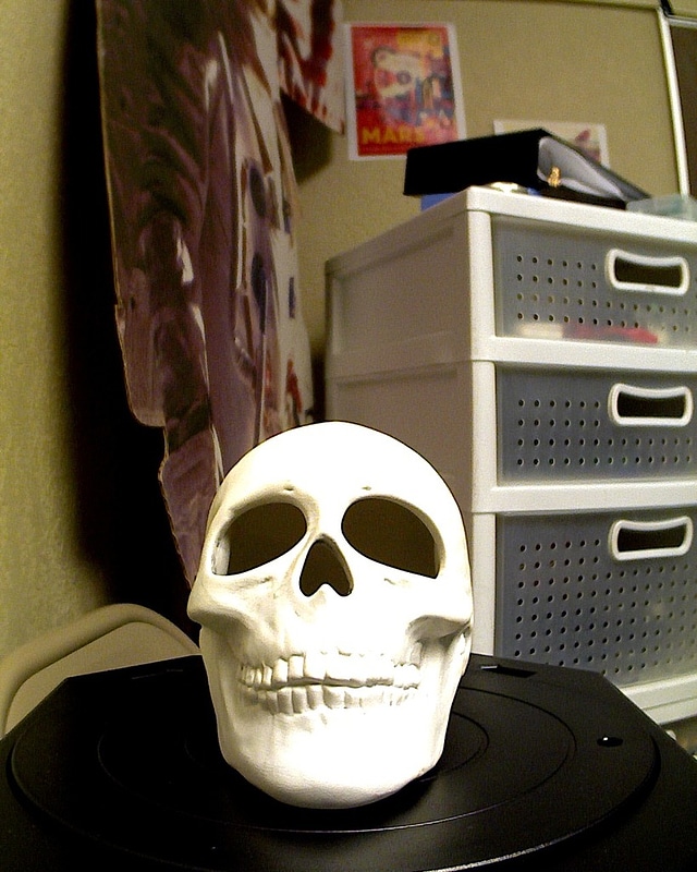 Skull