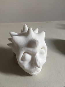 Rostro-Joaquin Balmaceda