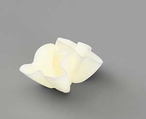 image_processing20220615-627-hvkrv4.jpg