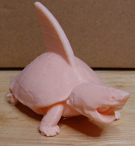 Turtle Shark