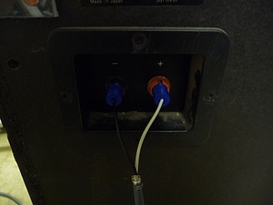 image_processing20220615-4253-12tppj.jpg