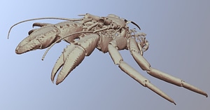 image_processing20220615-4253-qjcet4.jpg