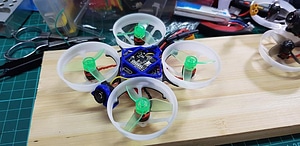 image_processing20220615-4253-xtdgq0.jpg