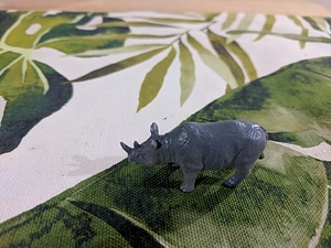 Rhino