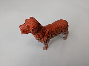 Terrier Dog