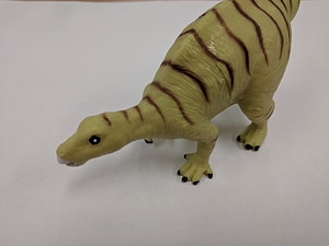 Iguanodon Dinosaur
