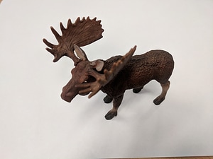 image_processing20220615-4253-ncidzp.jpg