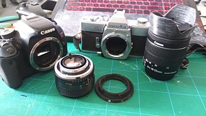 image_processing20220616-4253-kcpwkf.jpg