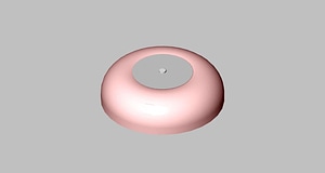 image_processing20220616-4253-w6jly8.jpg