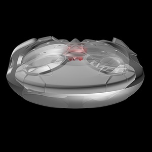 Dutch Inverted Super Cyclone - Concept 01