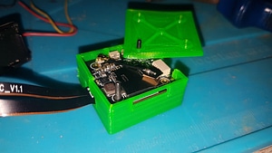 image_processing20220616-4253-1sqopue.jpg