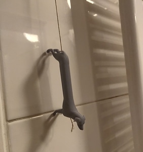 Long dog for bathroom pull switch