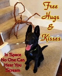 Alien Face Hugger – Free Hugs & Kisses