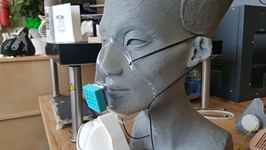 image_processing20220618-26026-x69ibx.jpg
