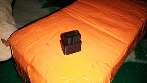 image_processing20220618-26026-1ybc3ev.jpg