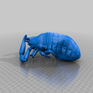 3D Museum Specimens - Scorpions, Pseudoscorpions, Birds, Mites