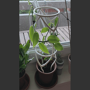 Plant Guider