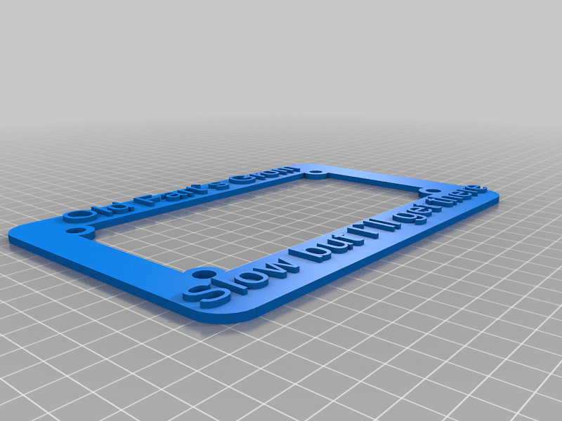 My Customized License Plate Holder (US Motorcycle Sizing)
