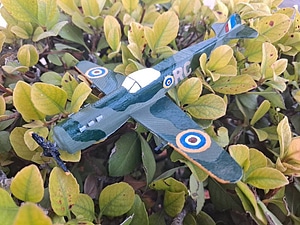 Model Plane - Spit Fire